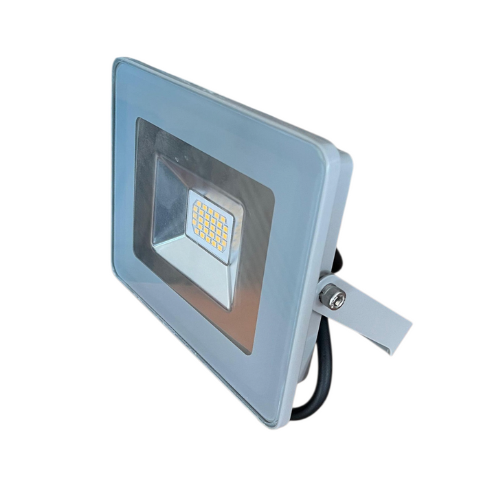 DREAMLED FL-20 Led reflektor